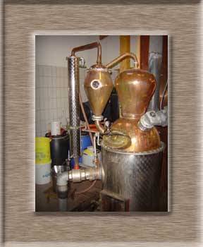 Klicken zum vergr&ouml;&szlig;ern