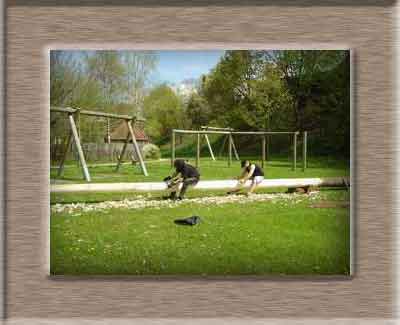 Klicken zum vergr&ouml;&szlig;ern