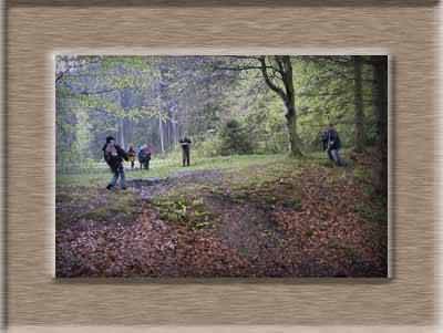 Klicken zum vergr&ouml;&szlig;ern