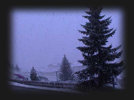 Klicken zum vergr&ouml;&szlig;ern