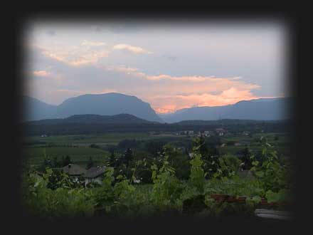 Klicken zum vergr&ouml;&szlig;ern