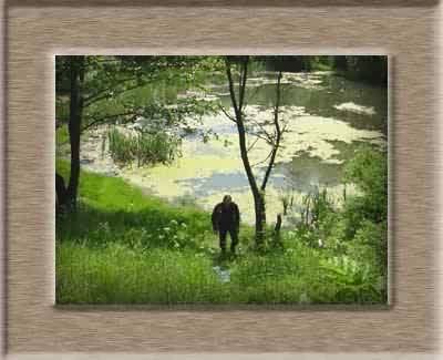 Klicken zum vergr&ouml;&szlig;ern