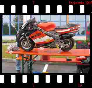 Klicken zum vergr&ouml;&szlig;ern