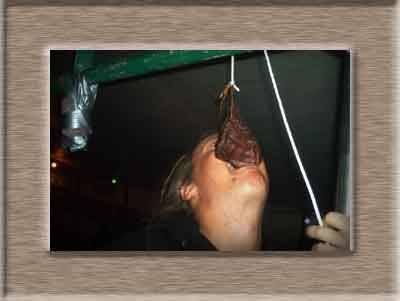 Klicken zum vergr&ouml;&szlig;ern