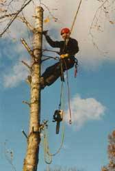 Klicken zum vergr&ouml;&szlig;ern