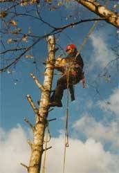 Klicken zum vergr&ouml;&szlig;ern