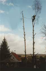 Klicken zum vergr&ouml;&szlig;ern