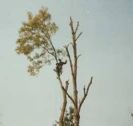 Klicken zum vergr&ouml;&szlig;ern