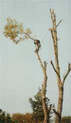 Klicken zum vergr&ouml;&szlig;ern